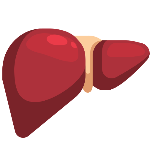 Liver Icon